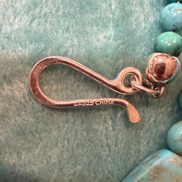 Jay King Spiderweb Turquoise Statement Necklace – Sterling Silver – NEW ✨ - Picture 5 of 6